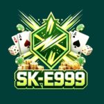 SK-E999 Game