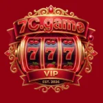 7C Game